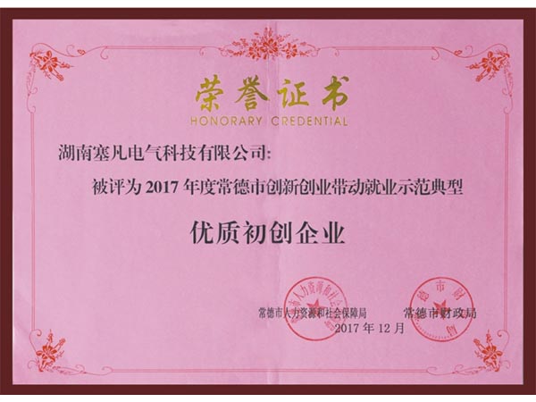 榮譽(yù)證書(shū)-(5)