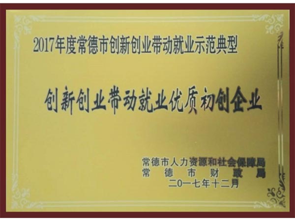 榮譽(yù)證書(shū)-(9)