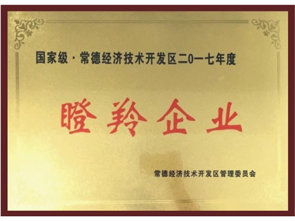 榮譽(yù)證書(shū)-(10)